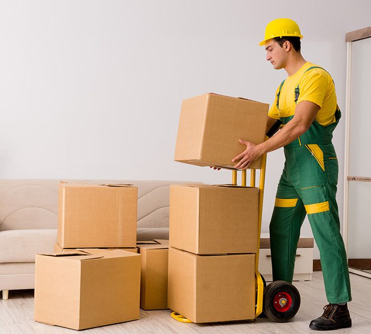 BPMA Packers and Movers